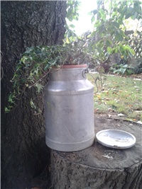 55ad8321-2016-10-09 09.34.40.jpg